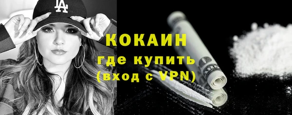 тгк Абаза