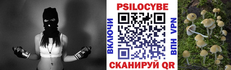 Псилоцибиновые грибы прущие грибы  Ирбит 